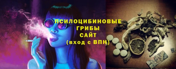 дживик Алексин