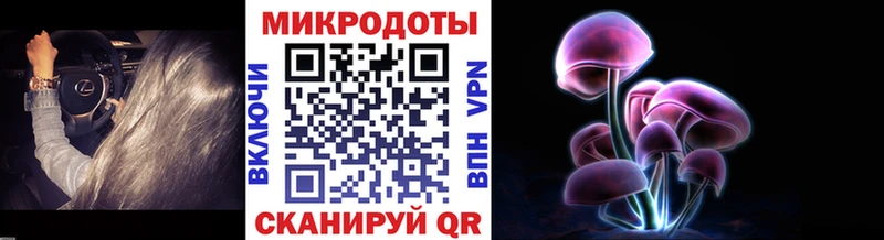 KRAKEN как войти  Когалым  Галлюциногенные грибы Psilocybine cubensis 