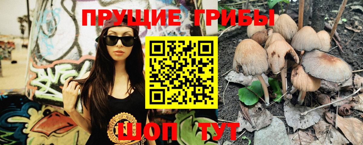 Галлюциногенные грибы MAGIC MUSHROOMS  Вход с VPN  Псилоцибиновые грибы GOLDEN TEACHER  Когалым 