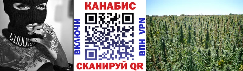 Шишки марихуана OG Kush Когалым